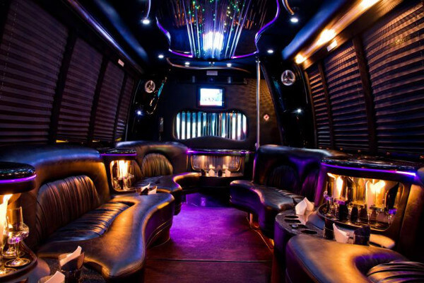 15 Person Party Bus Rental South Bend